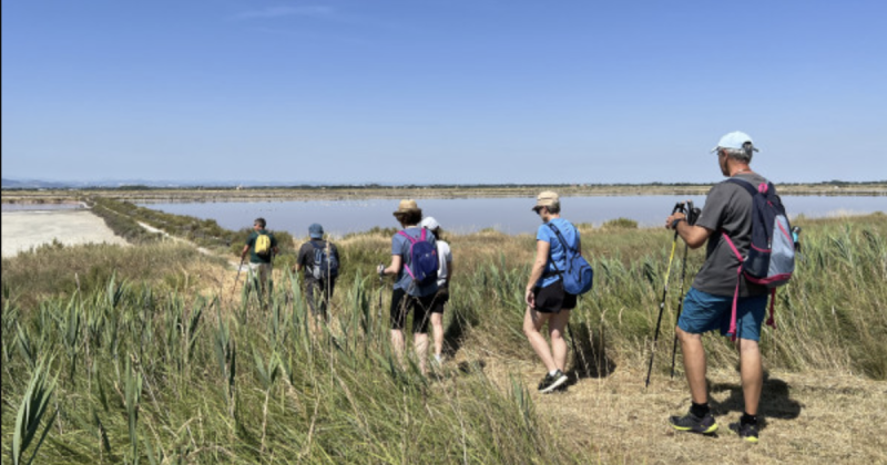 Nordic Walking